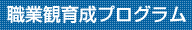 職業観育成プログラム